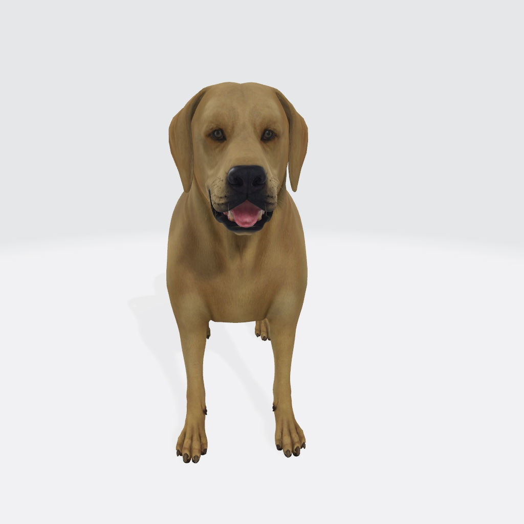 Labrador Retriever Dog 3D Model Ready to Print 3D print model_1