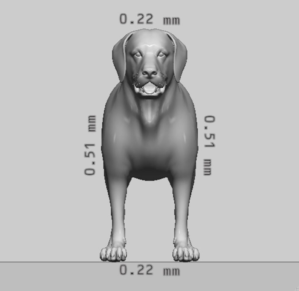 Labrador Retriever Dog 3D Model Ready to Print 3D print model_8
