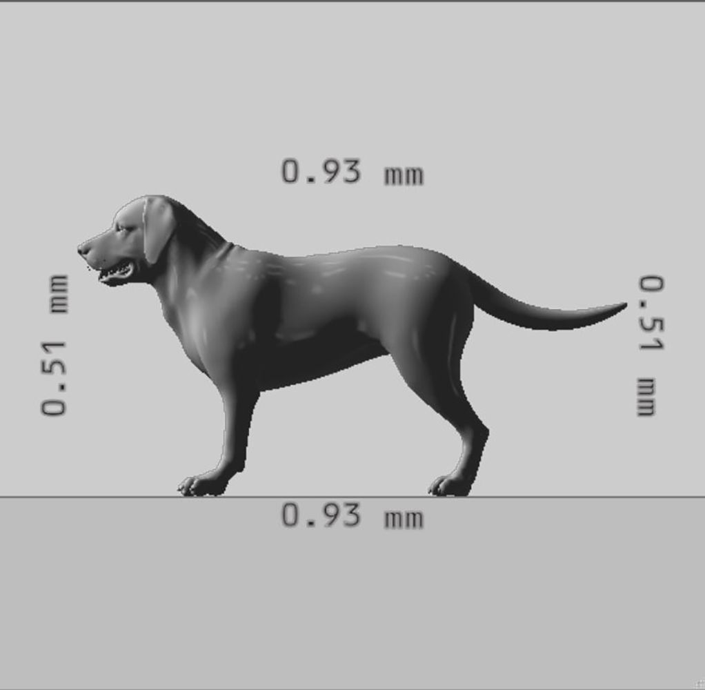 Labrador Retriever Dog 3D Model Ready to Print 3D print model_9