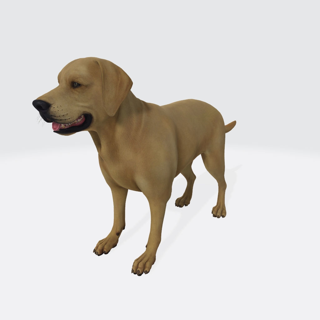Labrador Retriever Dog 3D Model Ready to Print 3D print model_2