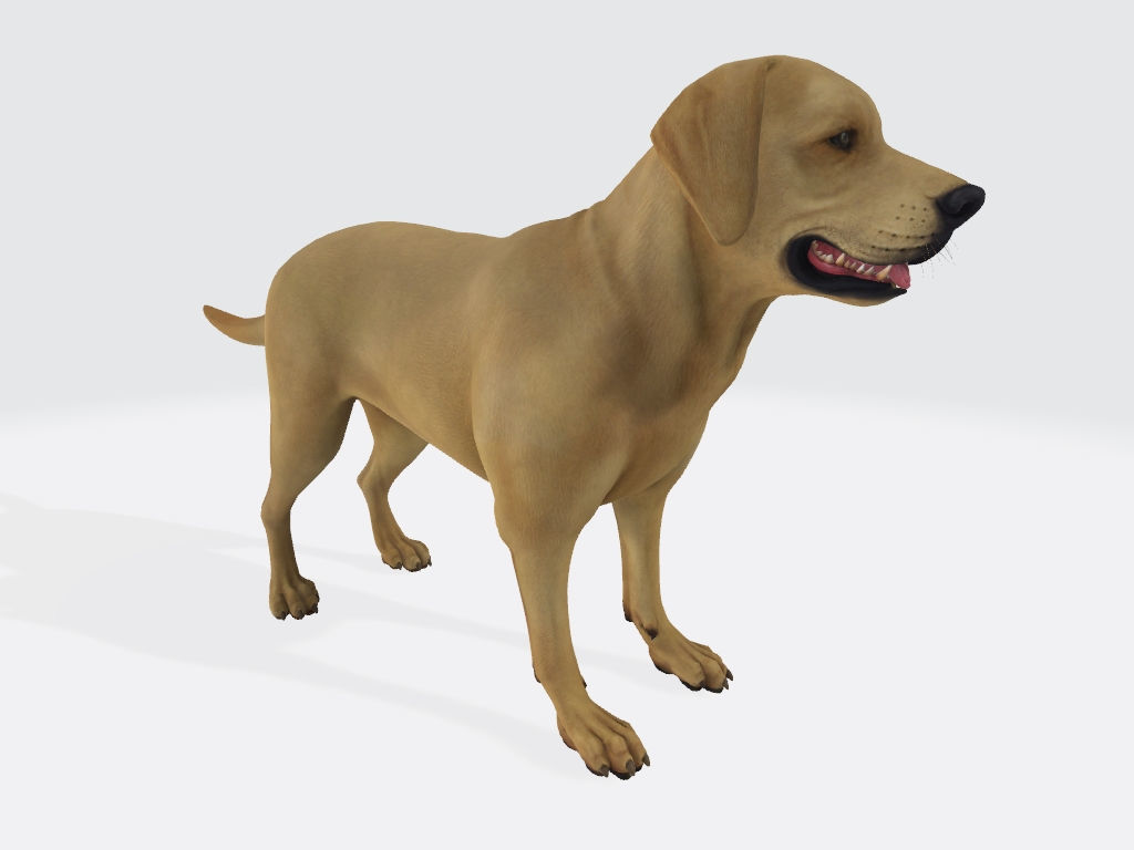 Labrador Retriever Dog 3D Model Ready to Print 3D print model_6