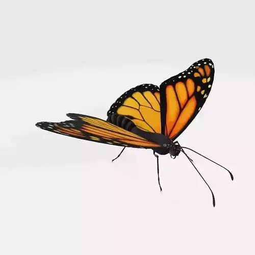 Monarch Butterfly 3D Model Ready to Print 3D print model