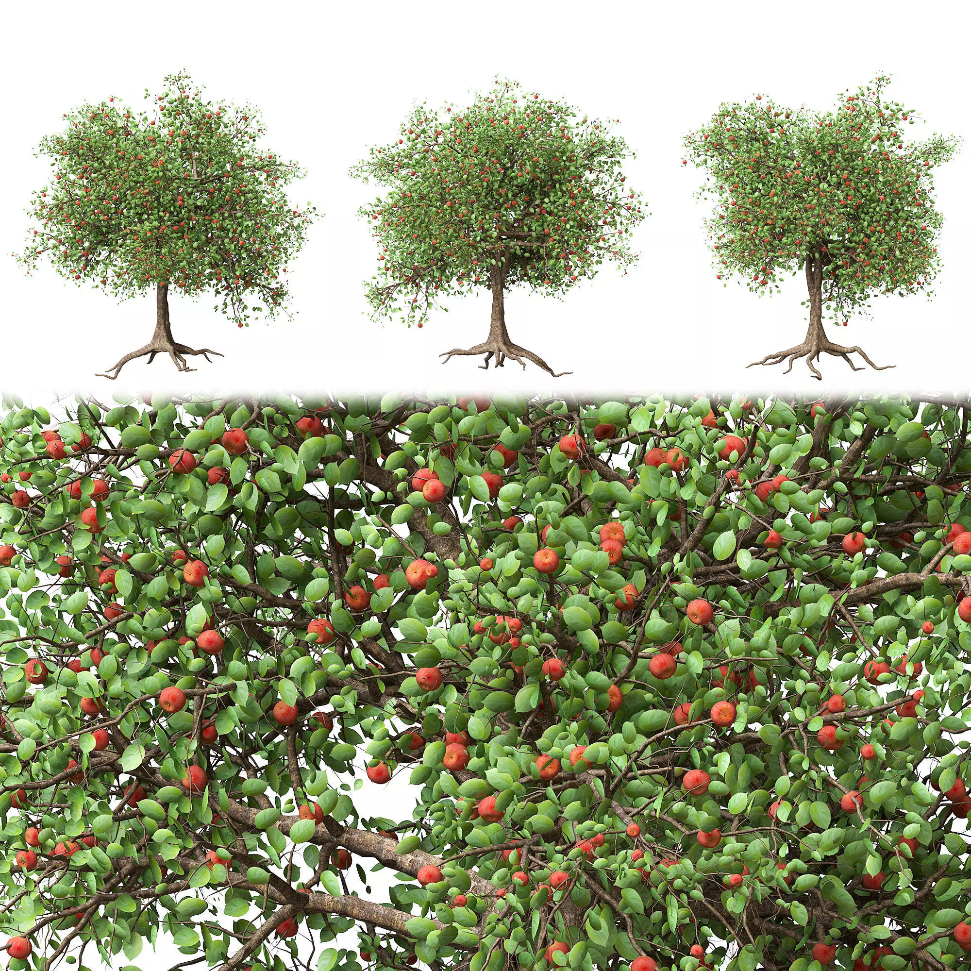 Apple tree Low-poly 3D model