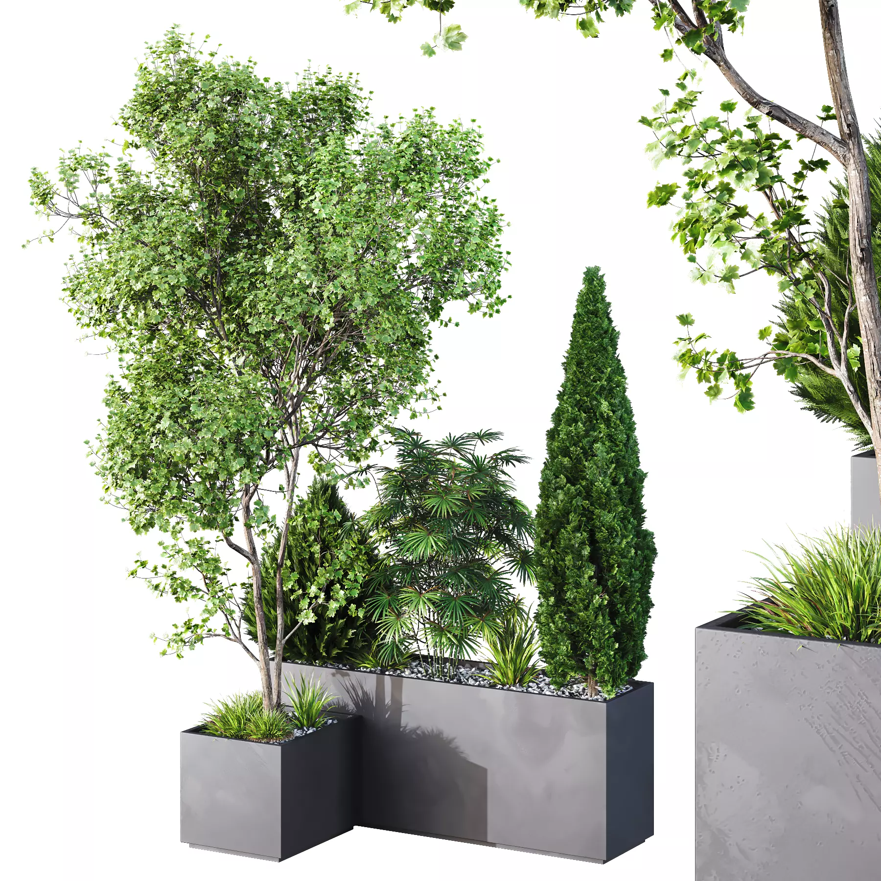 HQ Tree and bush garden box outdoor VOL 03 Free 3D model_0