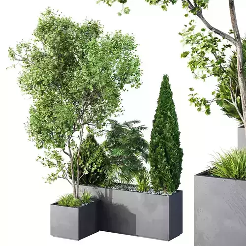 HQ Tree and bush garden box outdoor VOL 03 Free 3D model