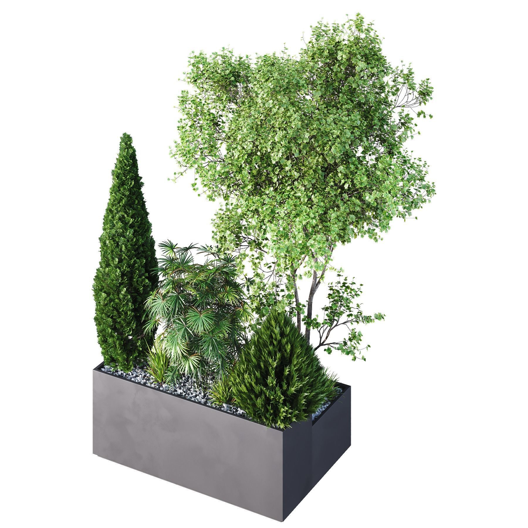 HQ Tree and bush garden box outdoor VOL 03 Free 3D model_1