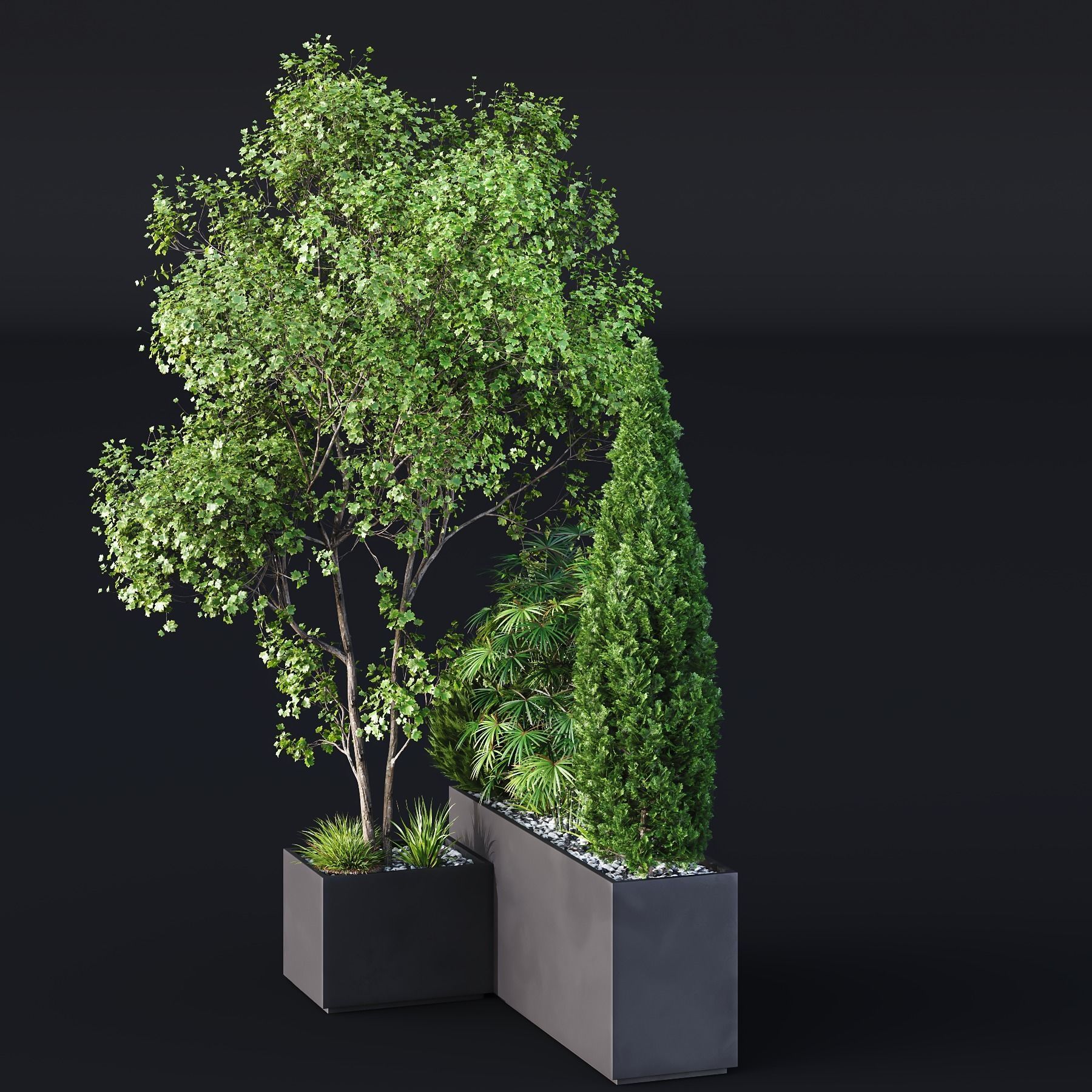 HQ Tree and bush garden box outdoor VOL 03 Free 3D model_3