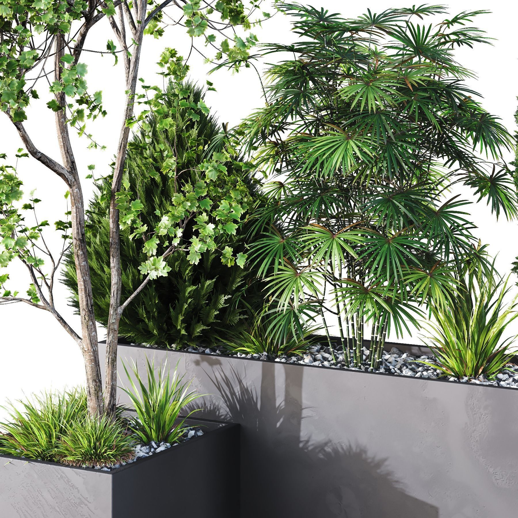 HQ Tree and bush garden box outdoor VOL 03 Free 3D model_2