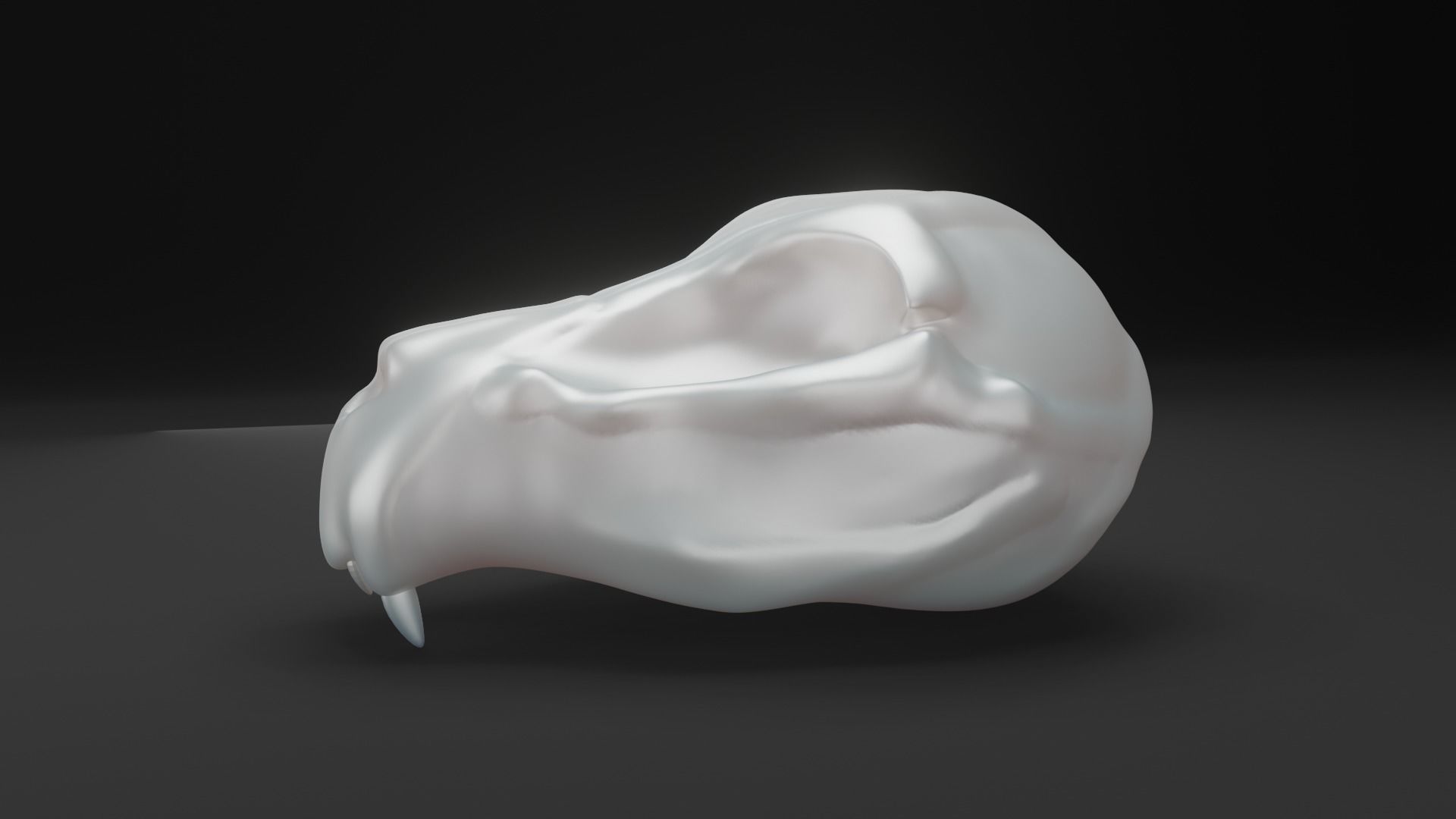 Animal skull - Panther 3D model_3