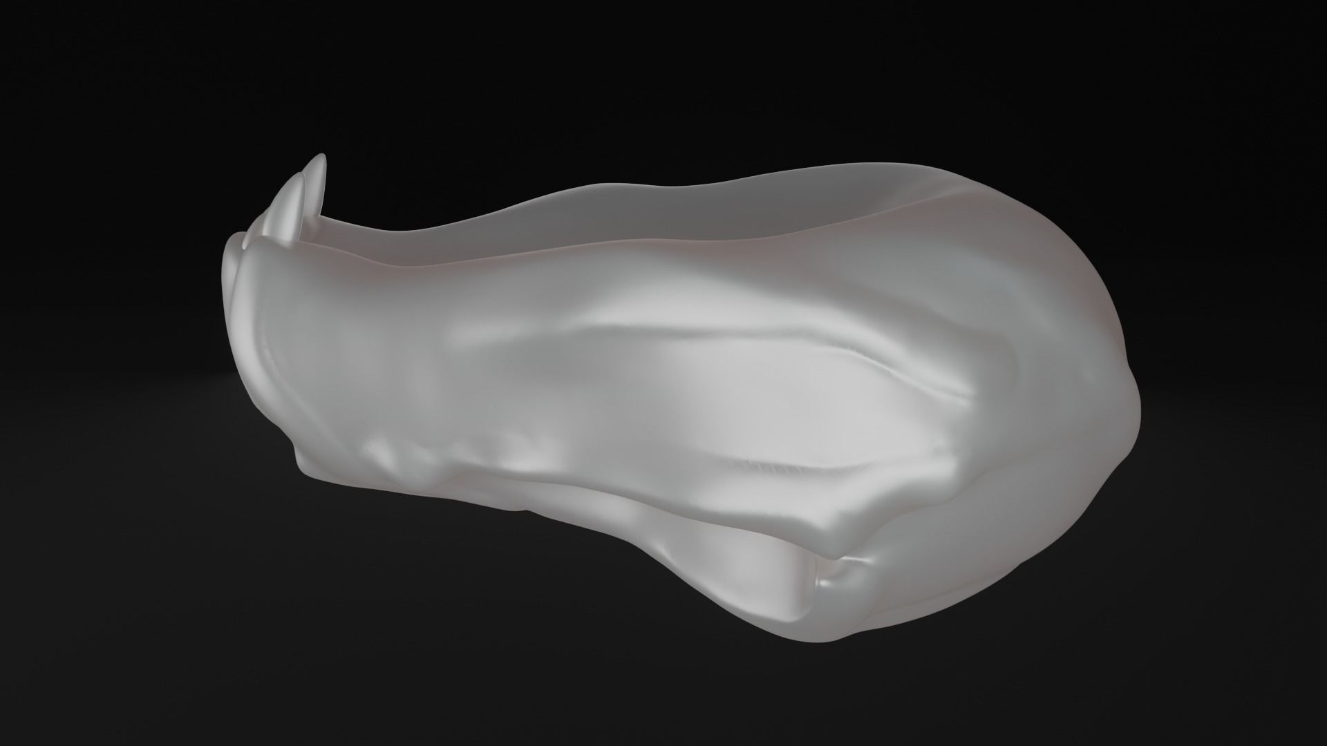 Animal skull - Panther 3D model_4