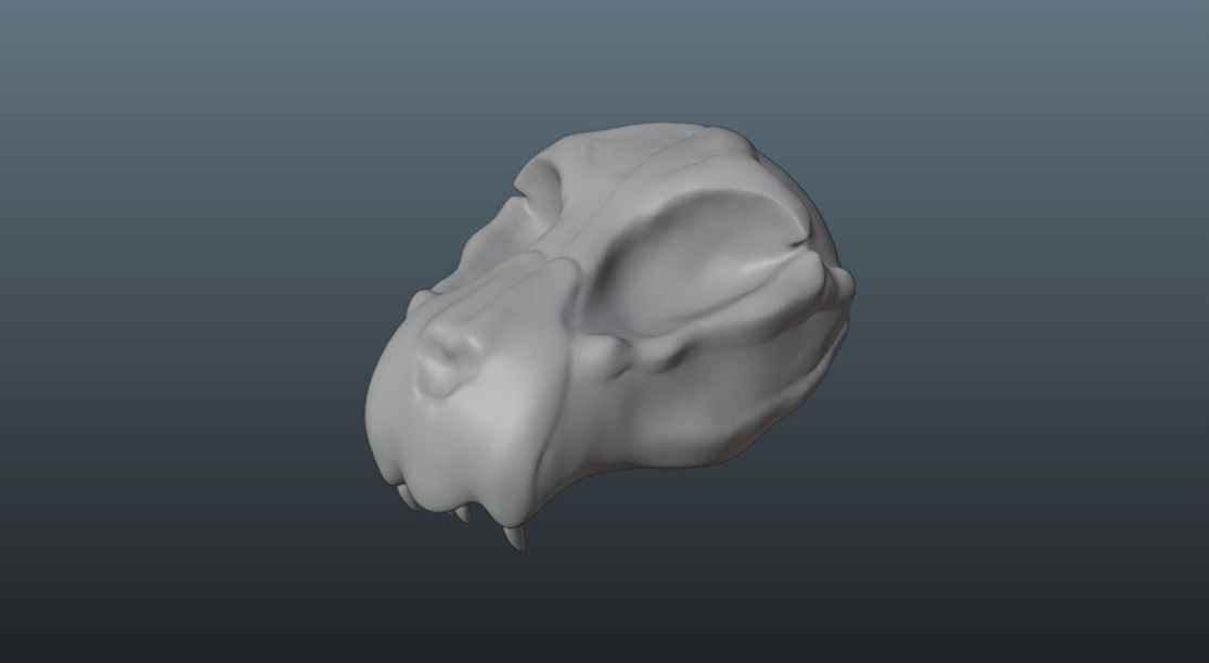 Animal skull - Panther 3D model_5