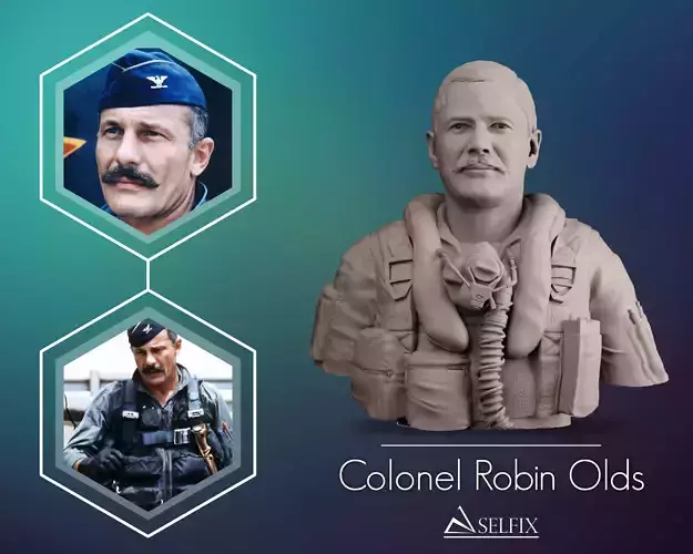 Colonel Robin Olds 3D print model