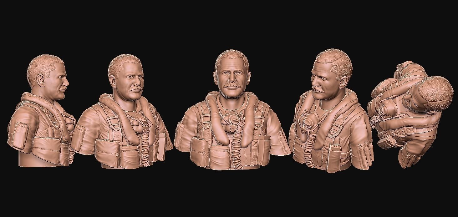 Colonel Robin Olds 3D print model_16