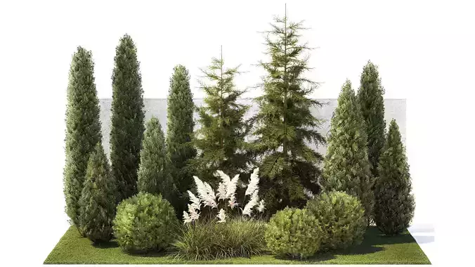Garden with trees thuja cypress spruce Cortaderia 1388 3D model