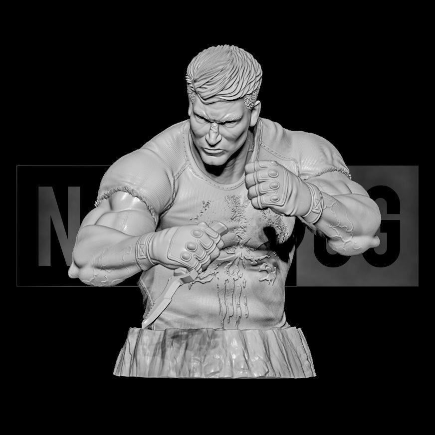Fan Art Punisher combat pose - Bust 3D print model_1