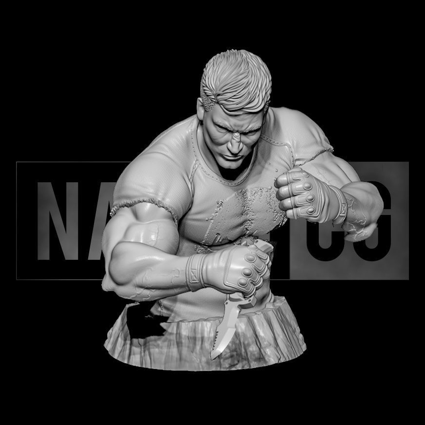 Fan Art Punisher combat pose - Bust 3D print model_4