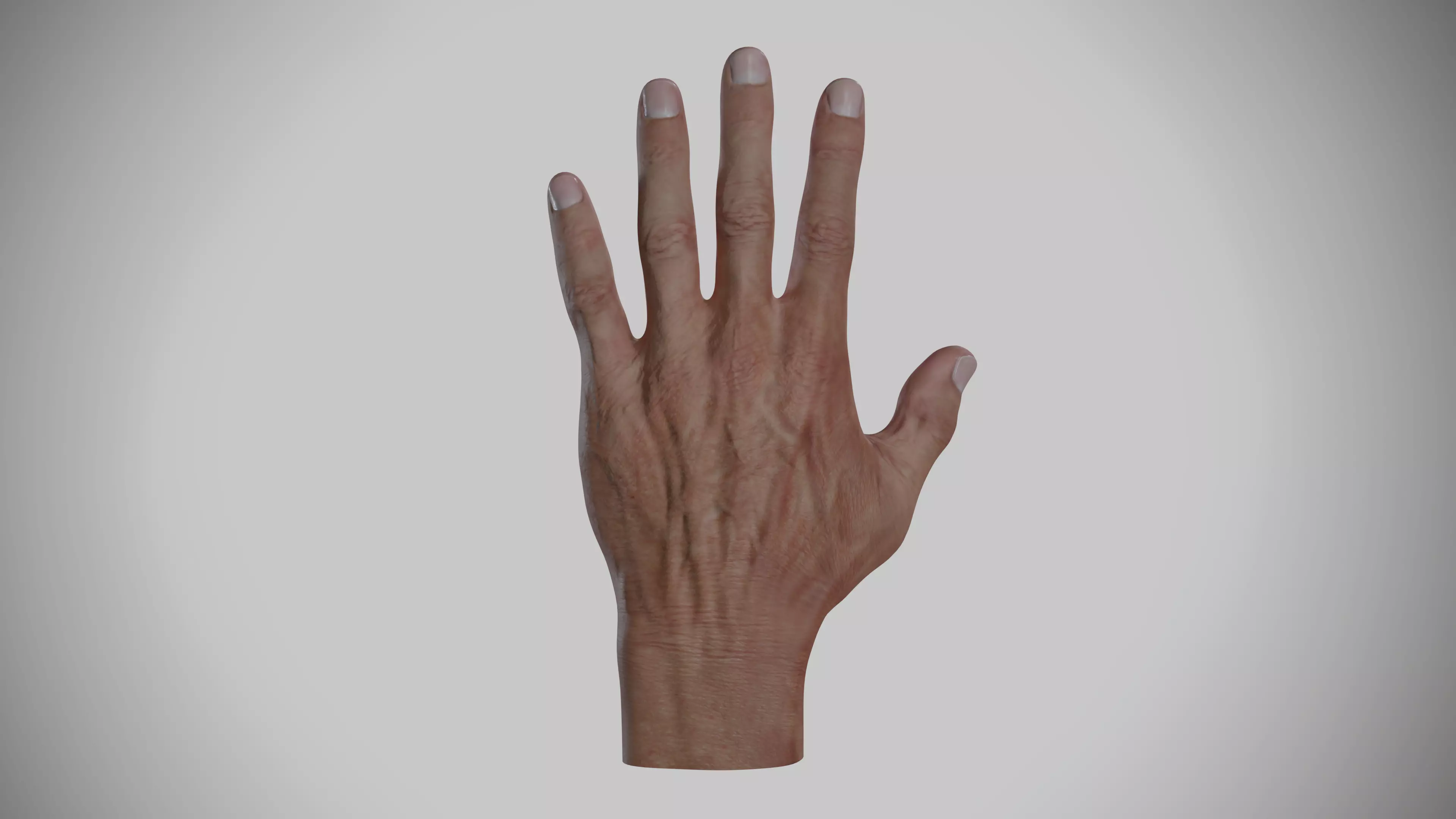 Human Hand Low-poly 3D model_0