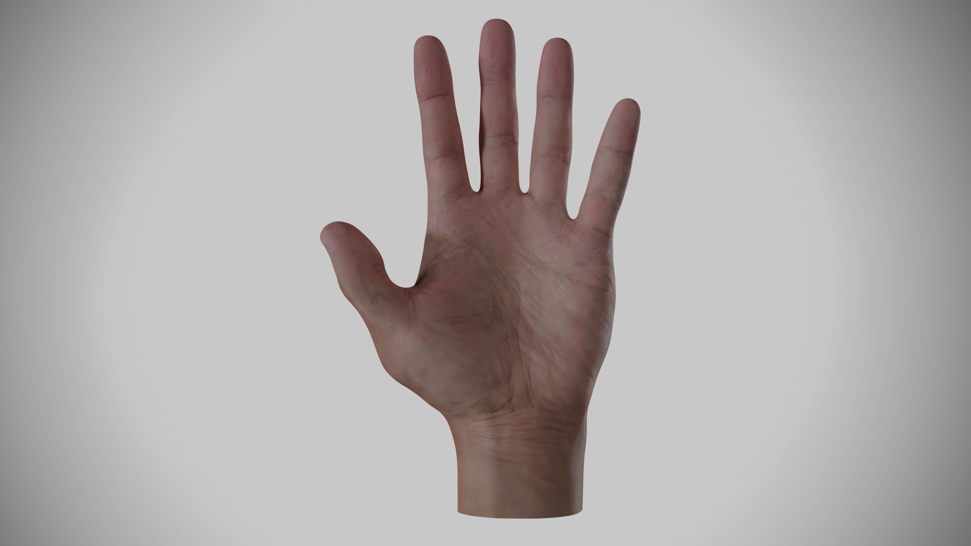 Human Hand Low-poly 3D model_1