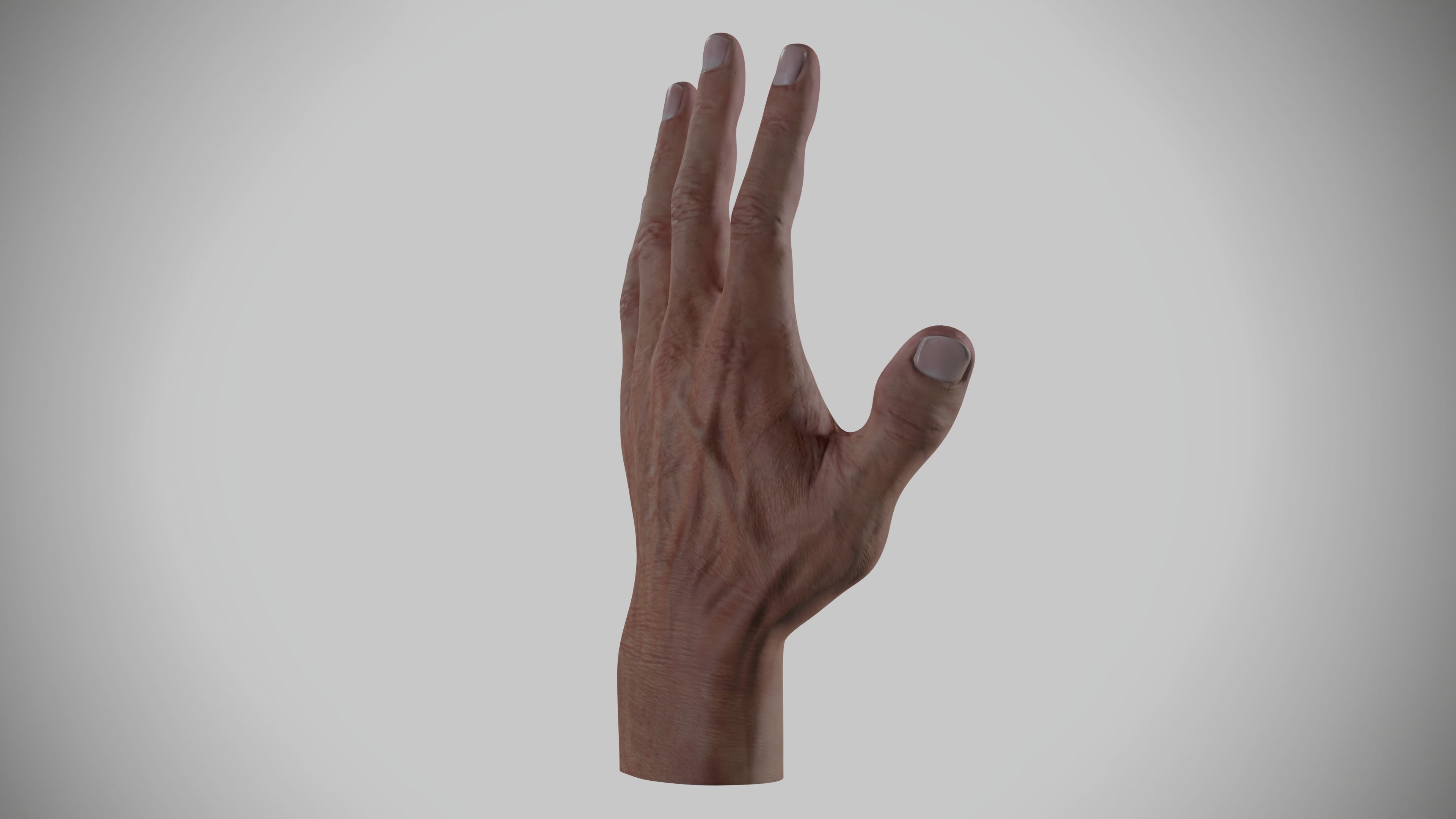 Human Hand Low-poly 3D model_3