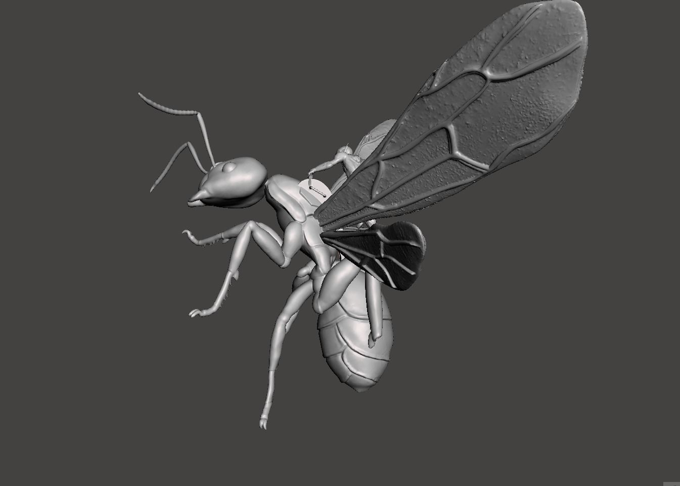 Antman small riding ant 3d model 3D print model_2