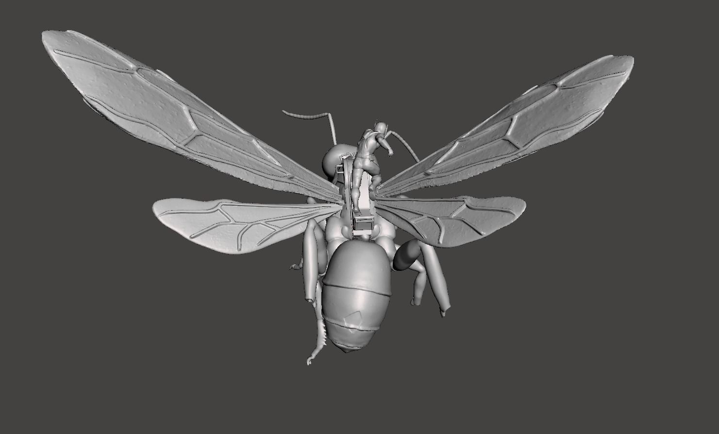 Antman small riding ant 3d model 3D print model_3