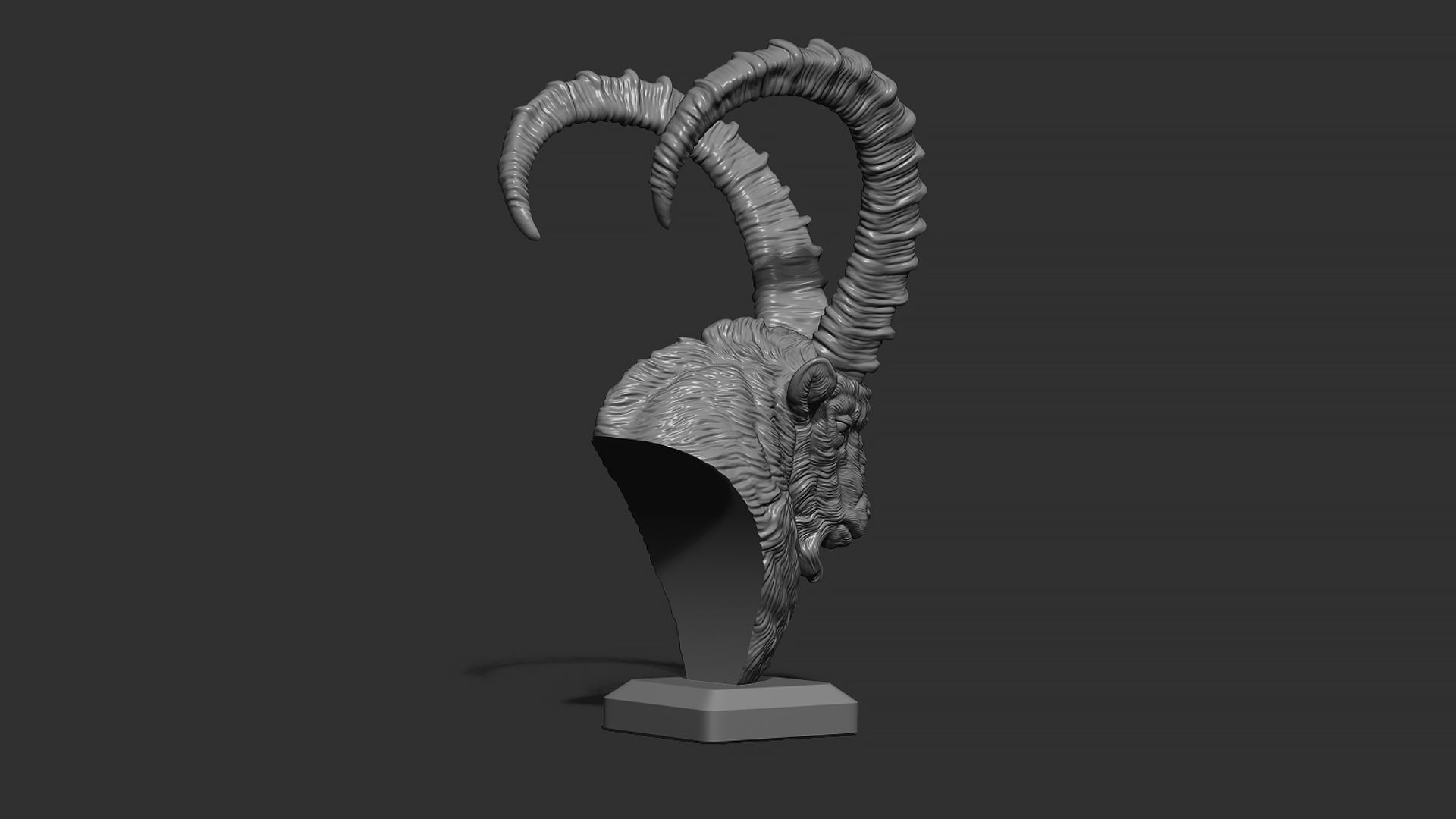 Nubian Ibex bust 3D print model_17
