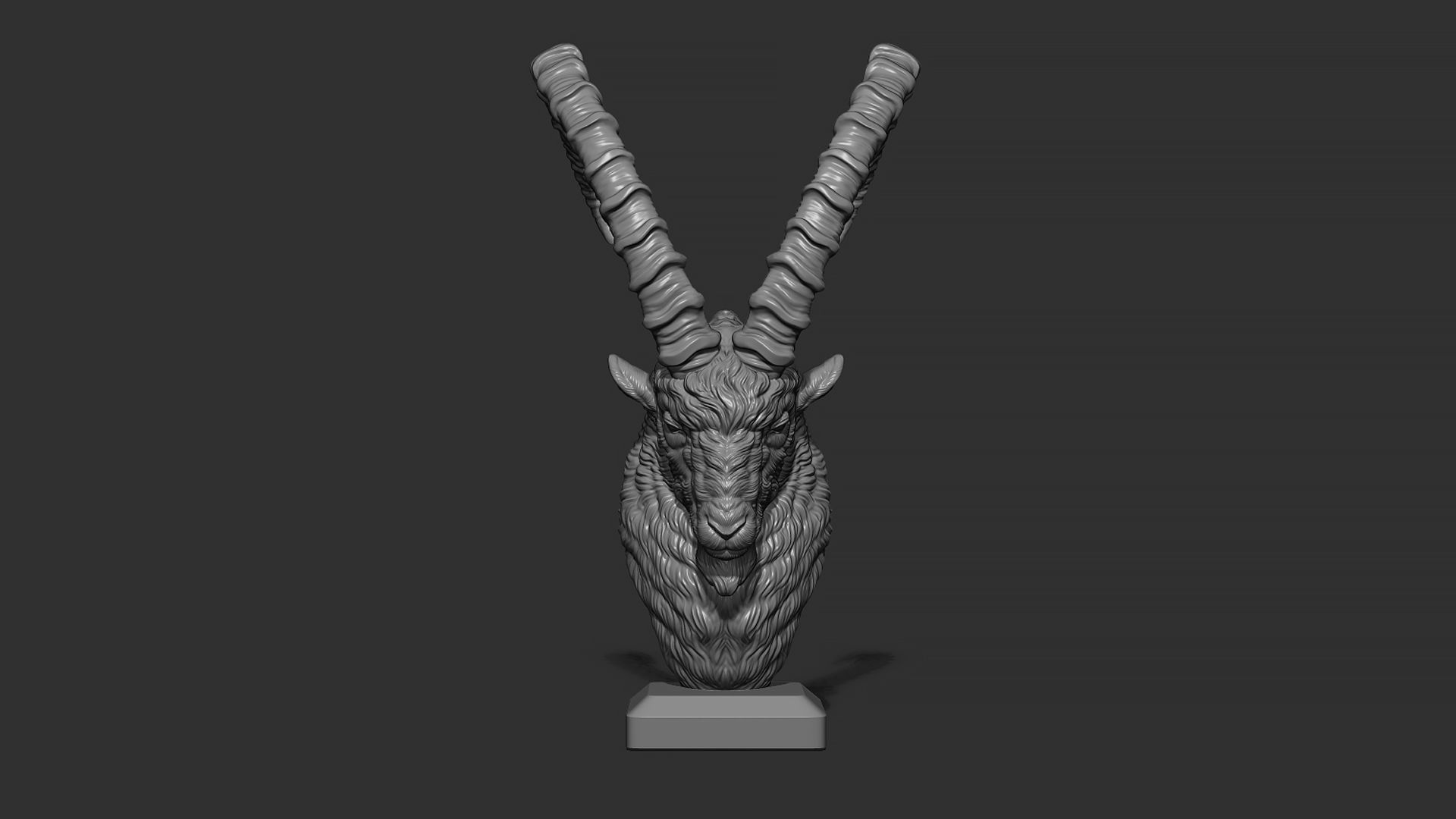 Nubian Ibex bust 3D print model_19