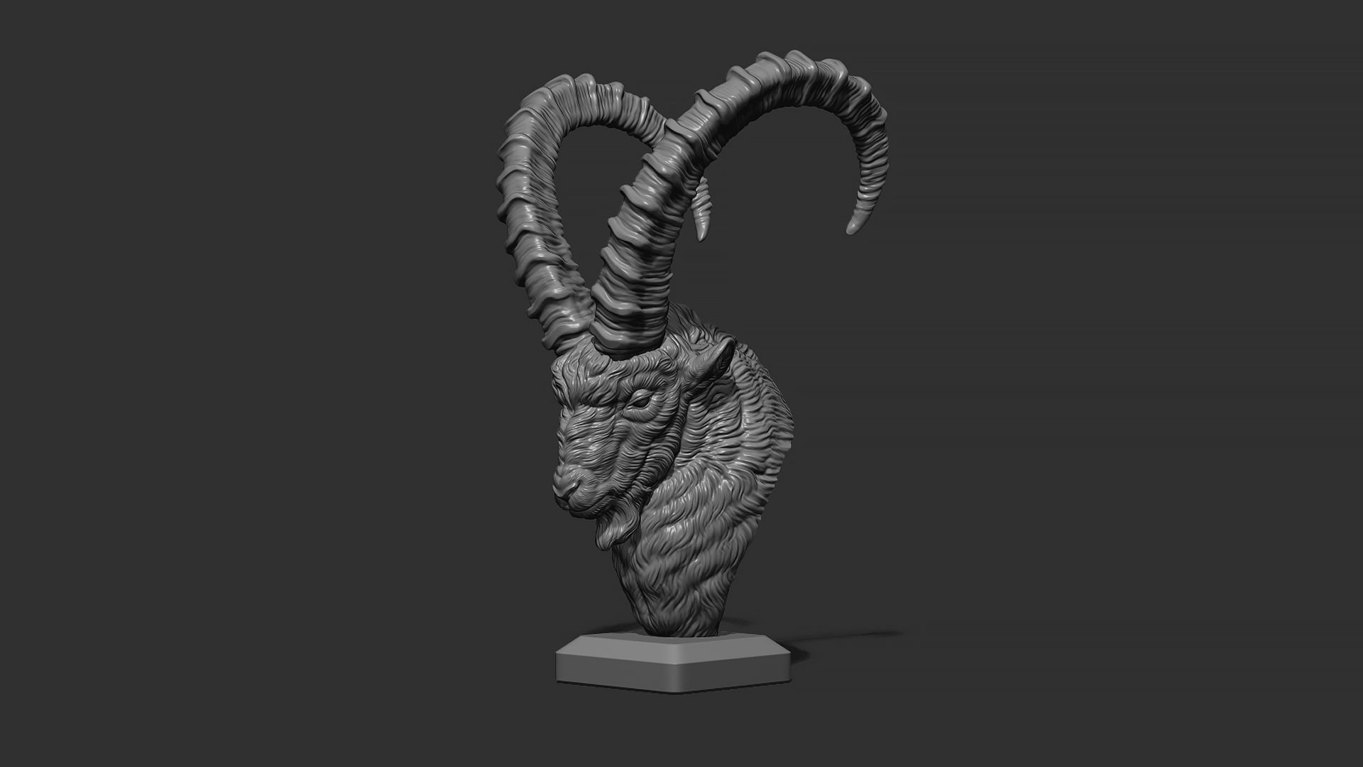 Nubian Ibex bust 3D print model_20
