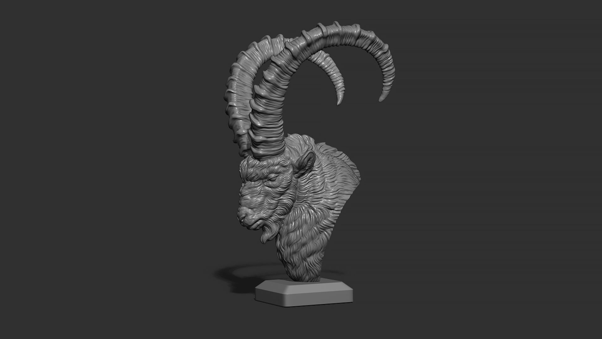 Nubian Ibex bust 3D print model_22