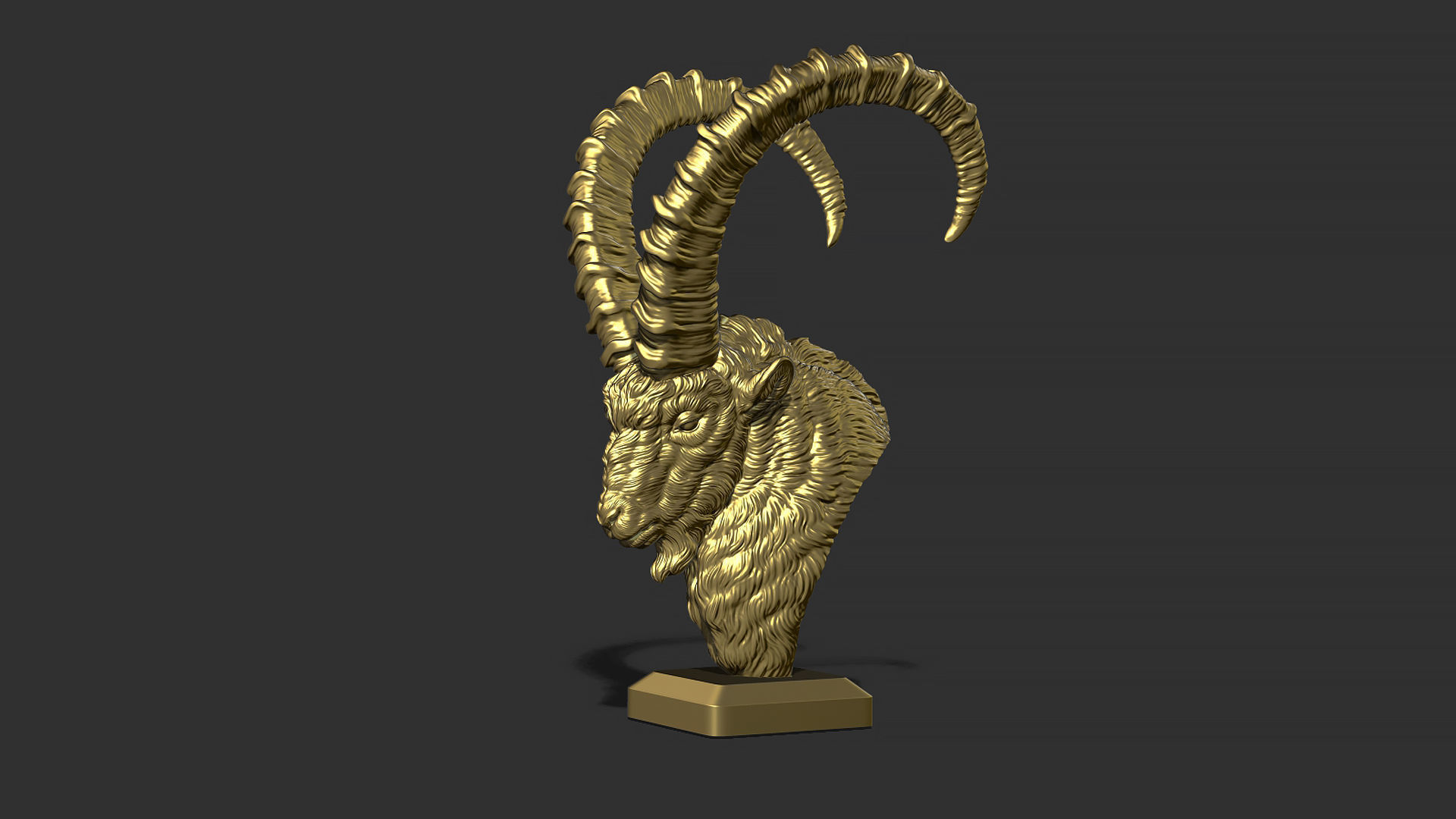 Nubian Ibex bust 3D print model_11