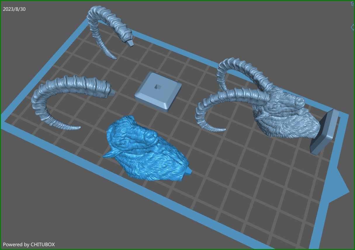Nubian Ibex bust 3D print model_28