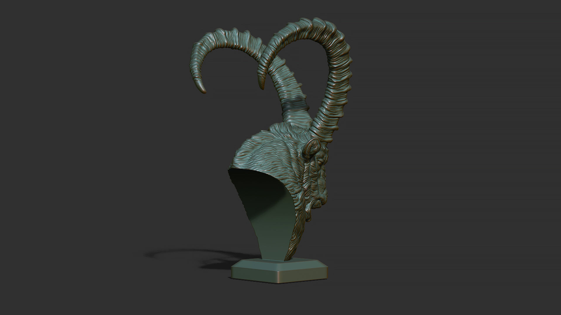 Nubian Ibex bust 3D print model_5