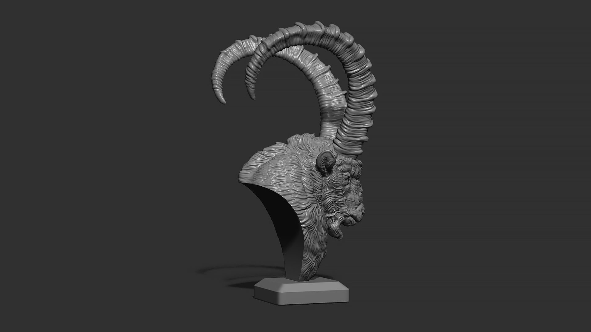 Nubian Ibex bust 3D print model_16