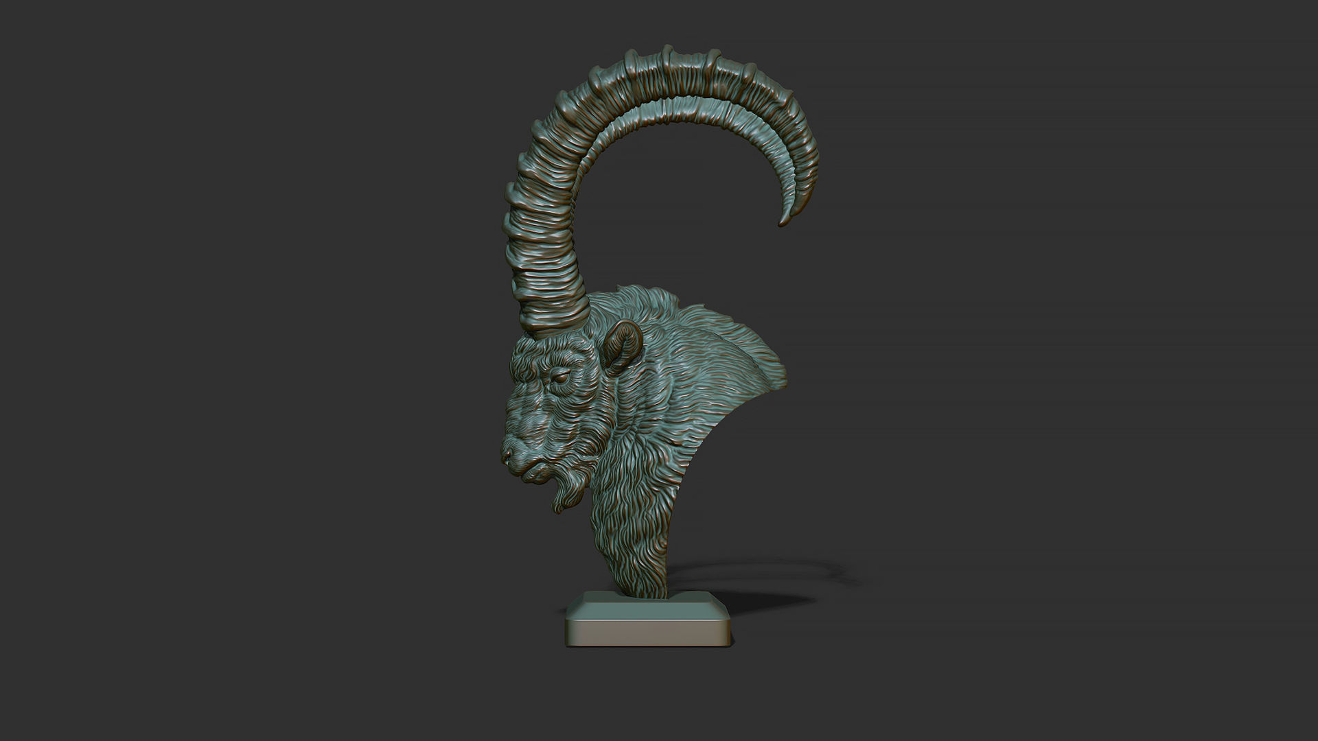Nubian Ibex bust 3D print model_2