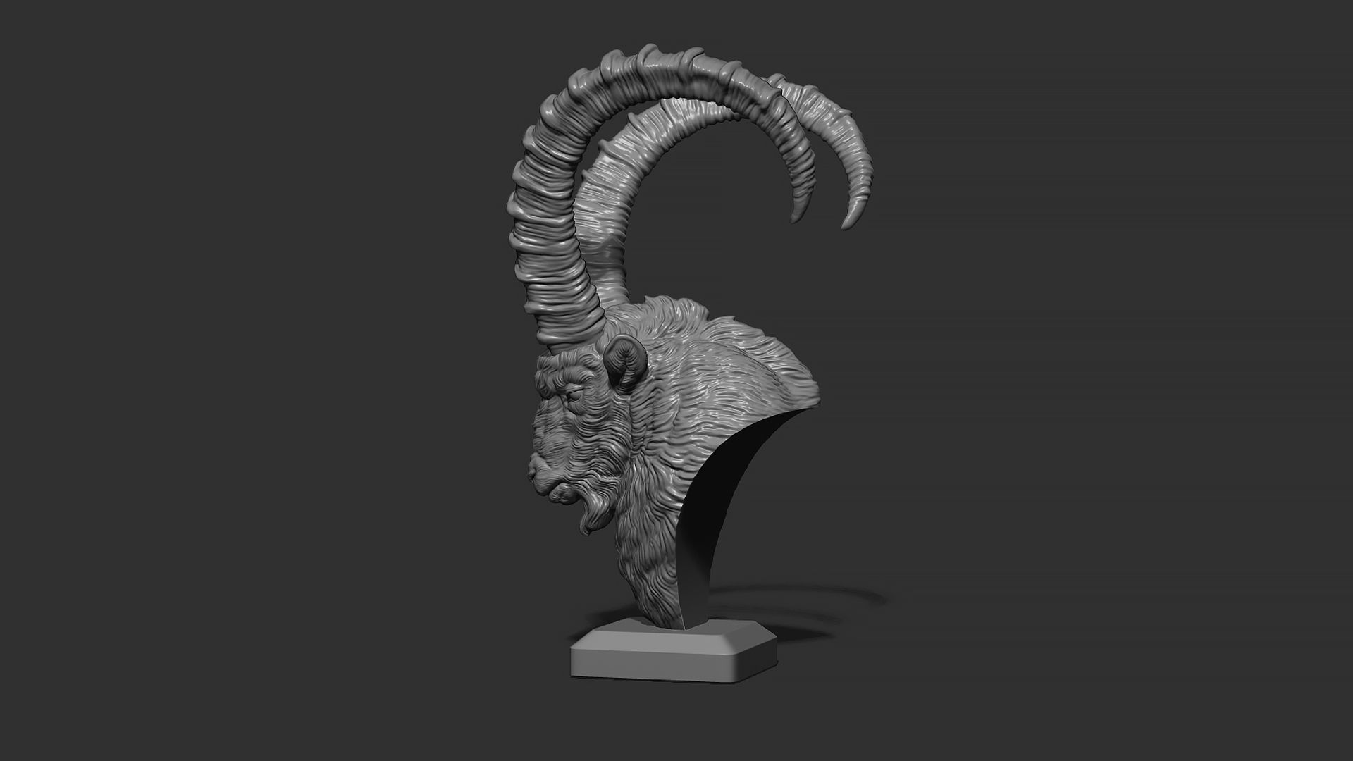 Nubian Ibex bust 3D print model_23