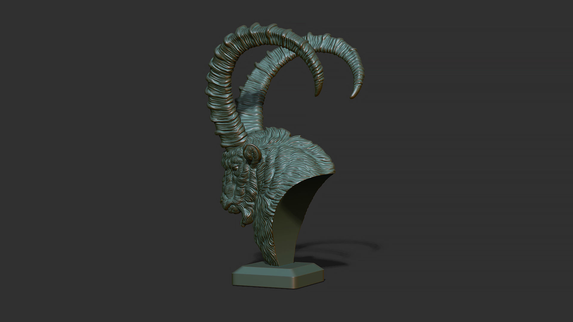 Nubian Ibex bust 3D print model_4
