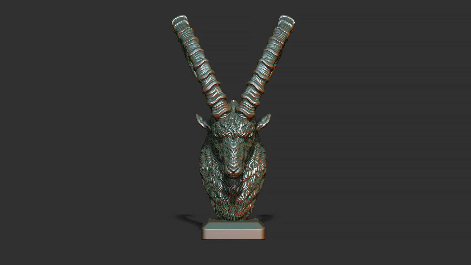 Nubian Ibex bust 3D print model_8