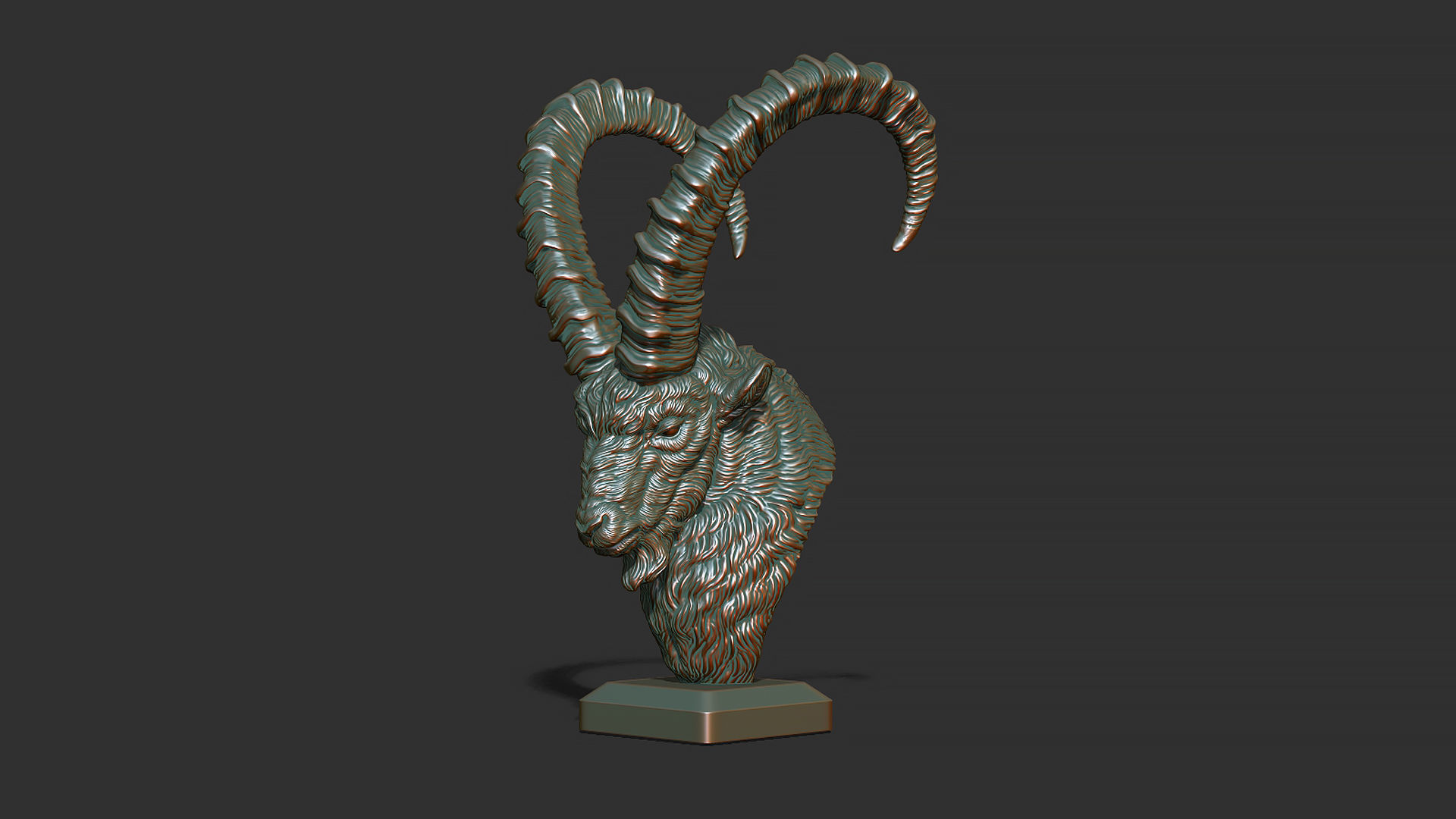 Nubian Ibex bust 3D print model_6