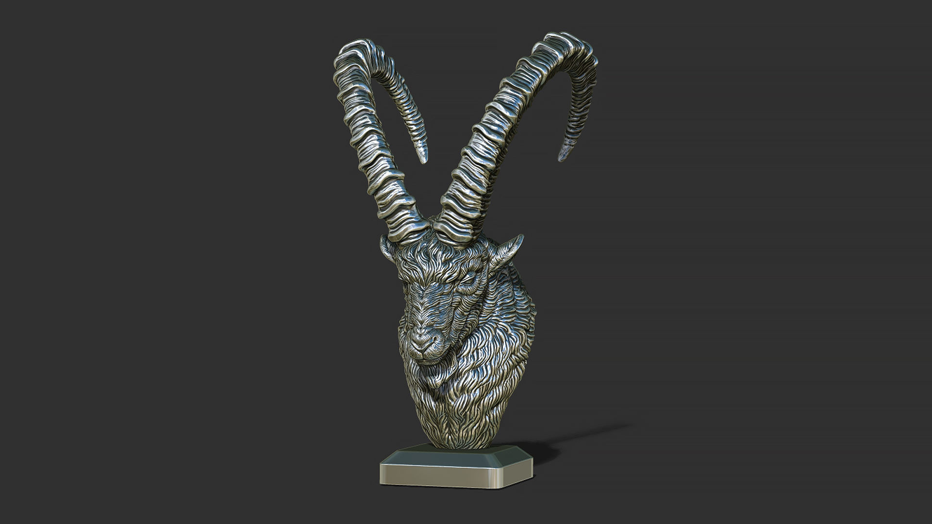 Nubian Ibex bust 3D print model_14