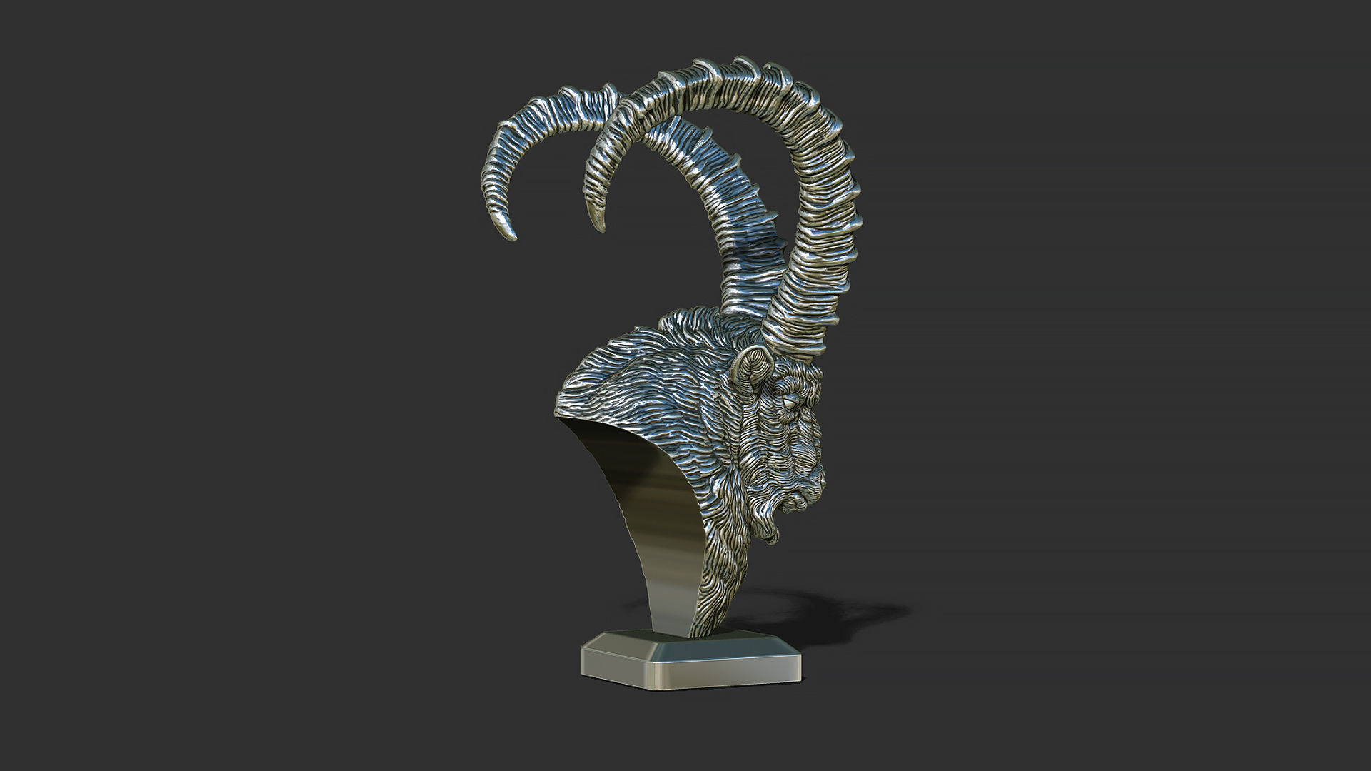 Nubian Ibex bust 3D print model_13