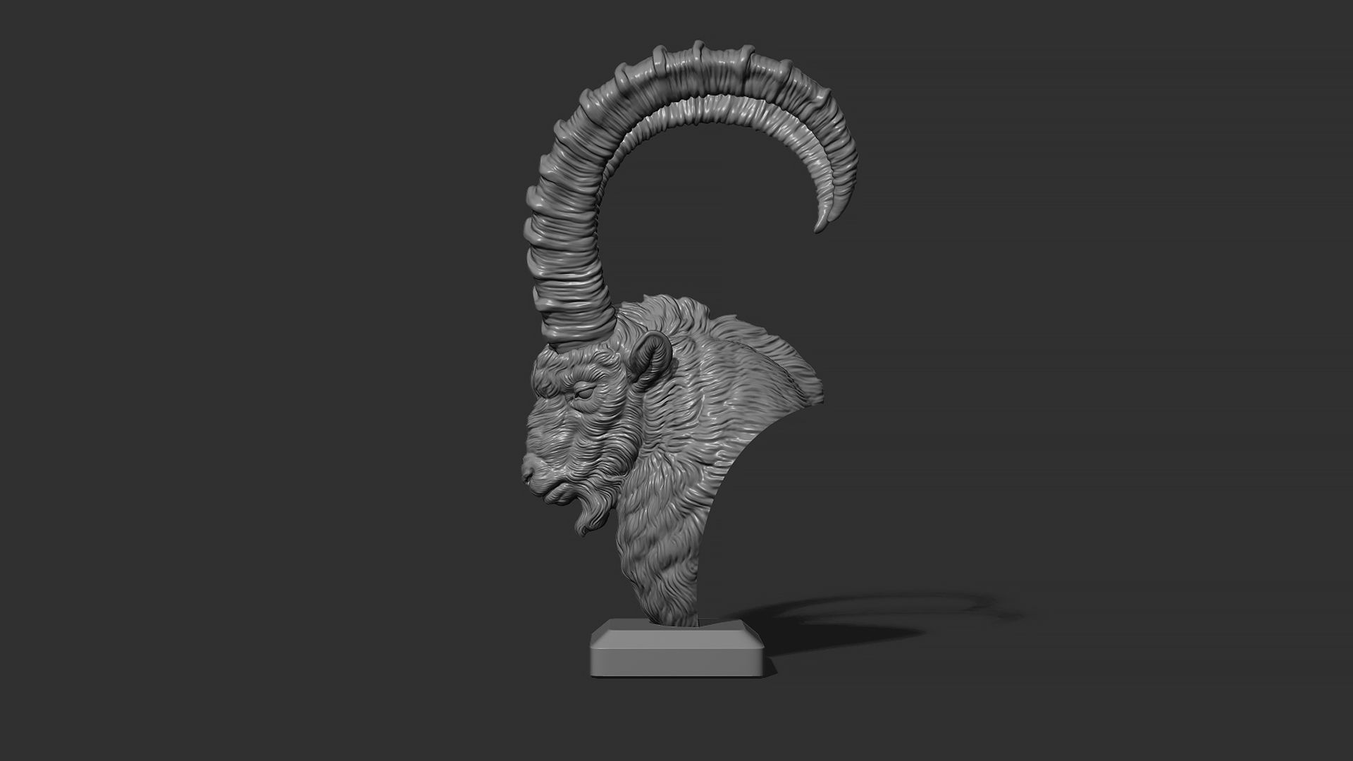 Nubian Ibex bust 3D print model_21