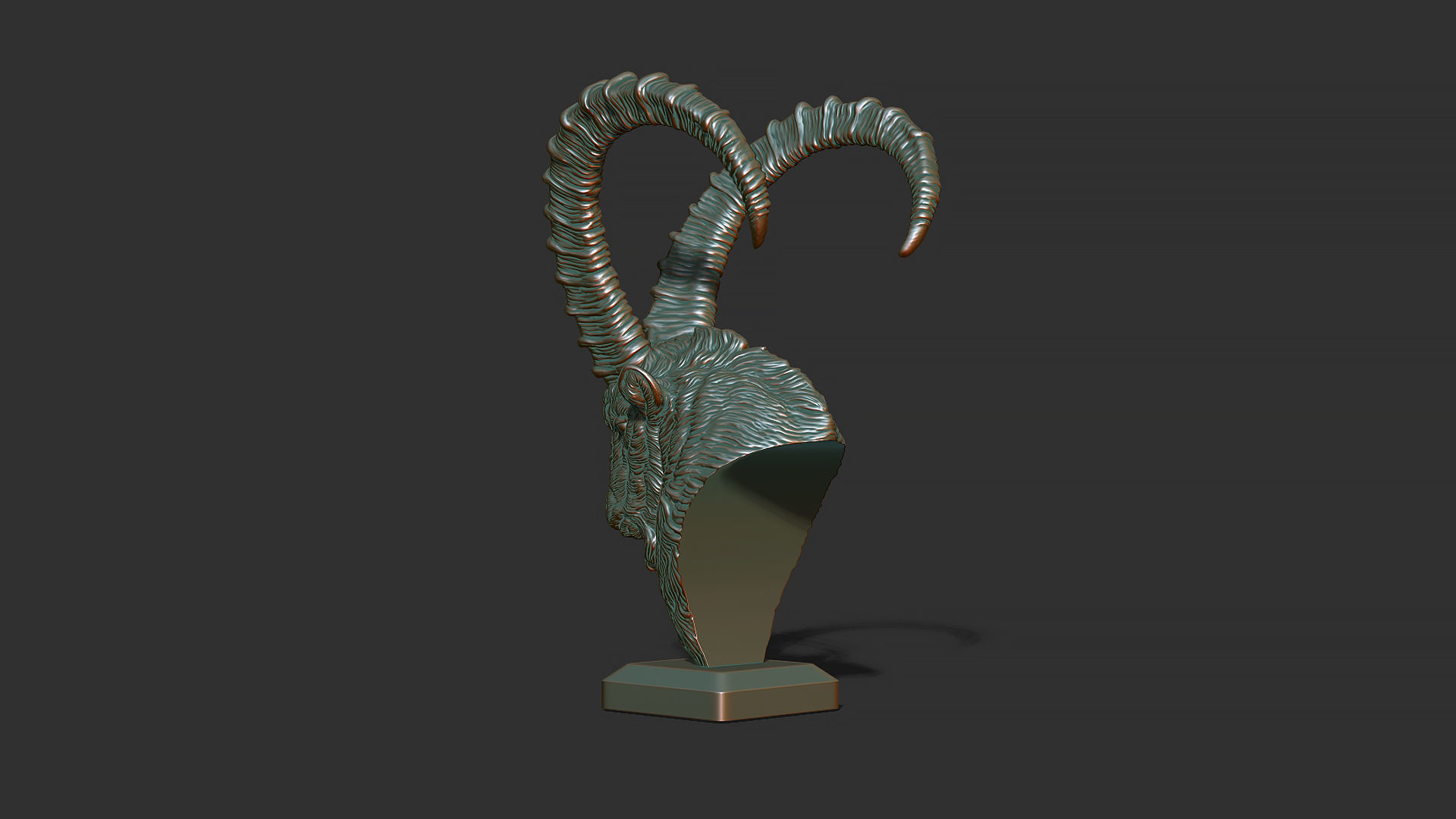 Nubian Ibex bust 3D print model_9
