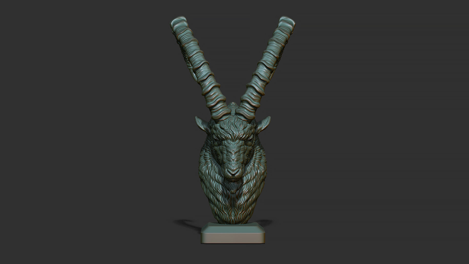 Nubian Ibex bust 3D print model_3