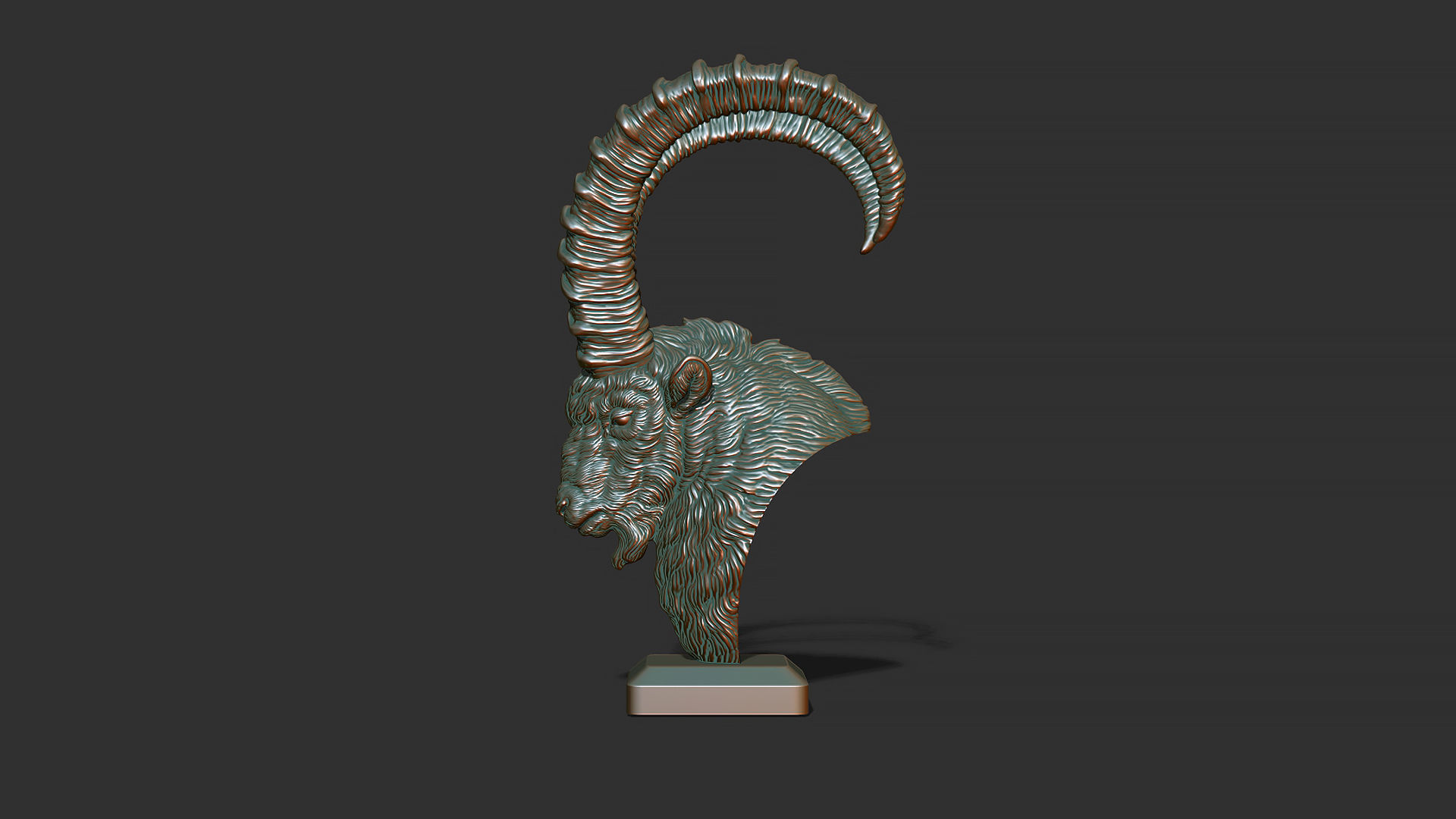 Nubian Ibex bust 3D print model_7