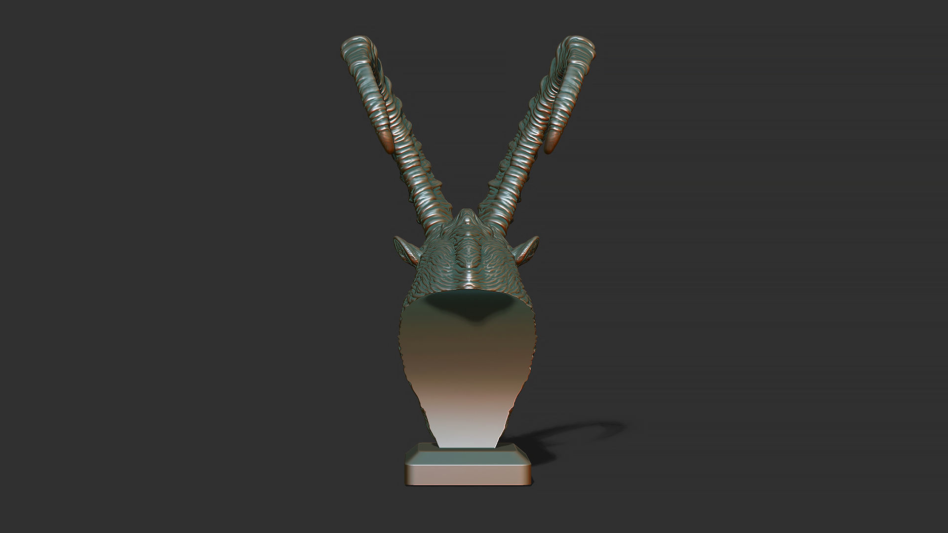 Nubian Ibex bust 3D print model_10