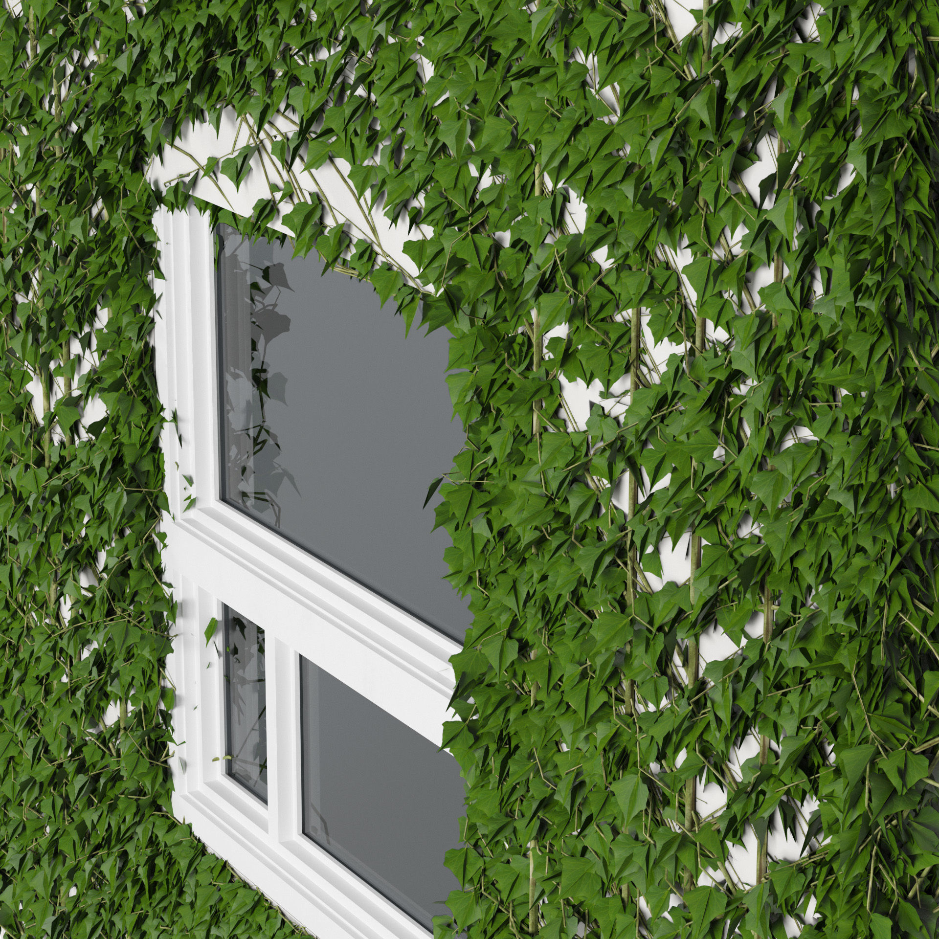 Balcony with ivy covered wall 3d model Low-poly 3D model_2