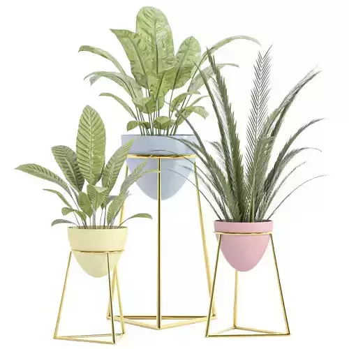 indoor plant set 055