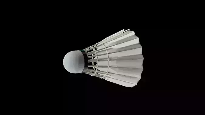 Badminton Shuttlecock