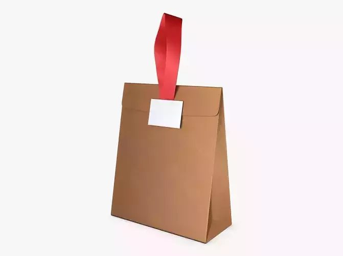 Gift Paper Bag M 1