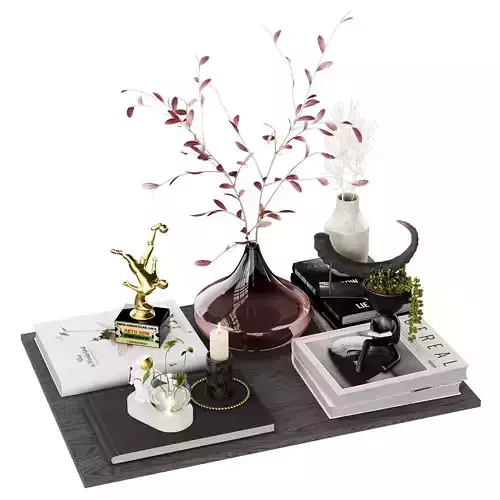 Decorative set with Astronaut Hydroponic Vases Glass 3D model